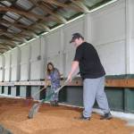 Amy Adolphsen and Caleb McDaniels help prep the cow barn at the Clallam County Fairgrounds this week.