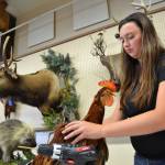 Liz Barrett of Joyce works on a rooster taxidermy at the Clallam County Fair last year. Shes worked in the art form for 7-plus years now. Sequim Gazette file photo by Matthew Nash