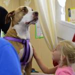 Adlee Roening of Port Angeles pets Izzy the dog at the 2017 Clallam County Fair. This years theme focuses on animals with Paws on Parade. Sequim Gazette file photo by Matthew Nash