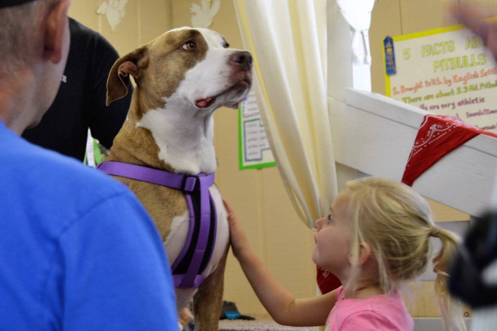 Adlee Roening of Port Angeles pets Izzy the dog at the 2017 Clallam County Fair. This years theme focuses on animals with Paws on Parade. Sequim Gazette file photo by Matthew Nash