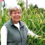 Get tips on how to grow organic garlic