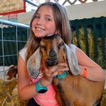 Clallam County Fair sees positive weekend with attendance up in 99th year, organizers say