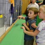 Cousins Jackson Melnick, 4, of Port Angeles, and Joelle Cochran, 5, of Sequim walk cage-to-cage looking at cats in the Cat Barn at the Clallam County Fair on Aug. 16. Jacksons mom said they come every year and especially love the pony rides. Sequim Gazette photo by Matthew Nash