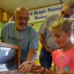 Pepper Giffin, 6, of Sequim, holds a bee for the first time at the North Olympic Peninsula Beekeepers booth on Aug. 16, with help from club members John Joseph and Chuck Giefer. Sequim Gazette photo by Matthew Nash