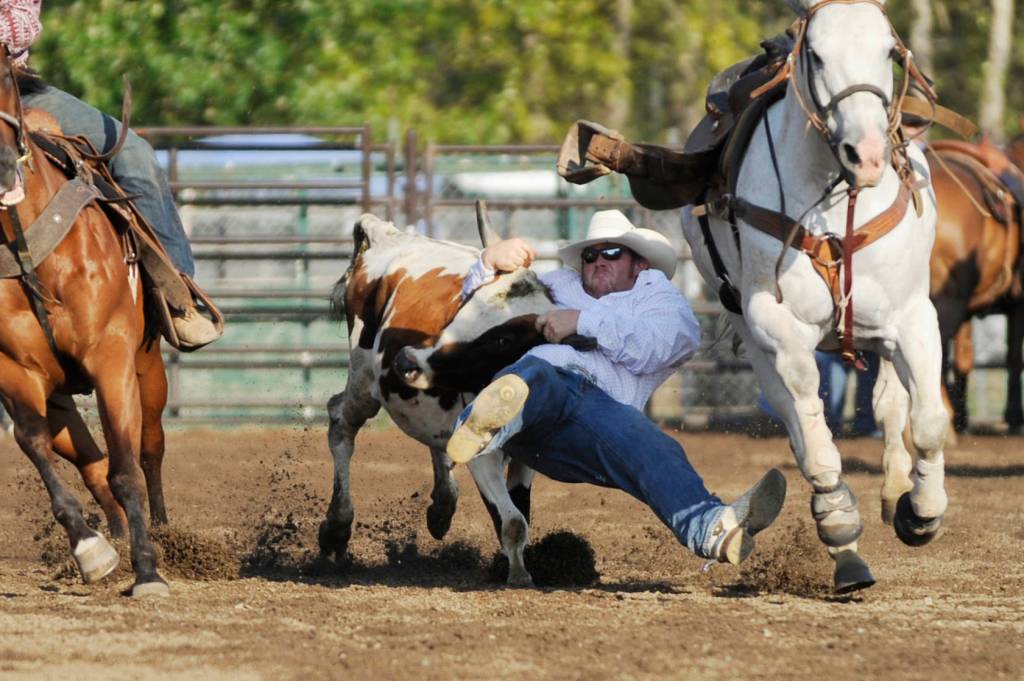 Wyatt Billings of Deer Park, formerly of Sequim, goes all out in the steer wrestling portion of the Aug. 18 Pro-West Rodeo at the Clallam County Fair on Aug. 18. Sequim Gazette photo by Michael Dashiell