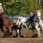 Wyatt Billings of Deer Park, formerly of Sequim, goes all out in the steer wrestling portion of the Aug. 18 Pro-West Rodeo at the Clallam County Fair on Aug. 18. Sequim Gazette photo by Michael Dashiell