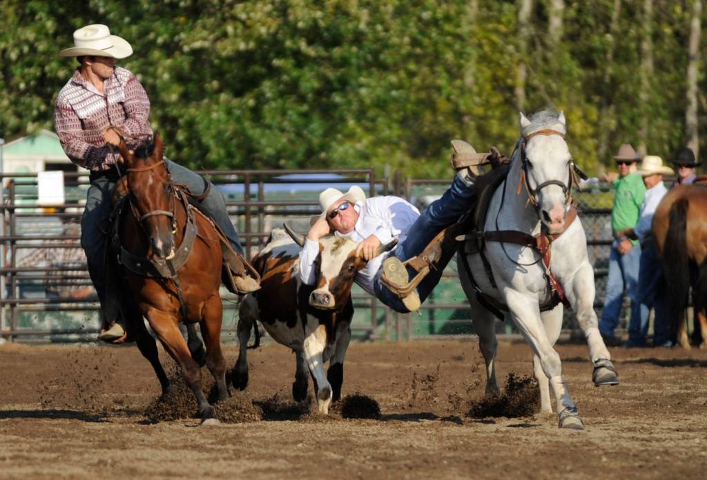 Wyatt Billings of Deer Park, formerly of Sequim, goes all out in the steer wrestling portion of the Aug. 18 Pro-West Rodeo at the Clallam County Fair on Aug. 18. Sequim Gazette photo by Michael Dashiell