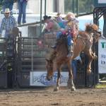 Clallam County Fair sees positive weekend with attendance up in 99th year, organizers say