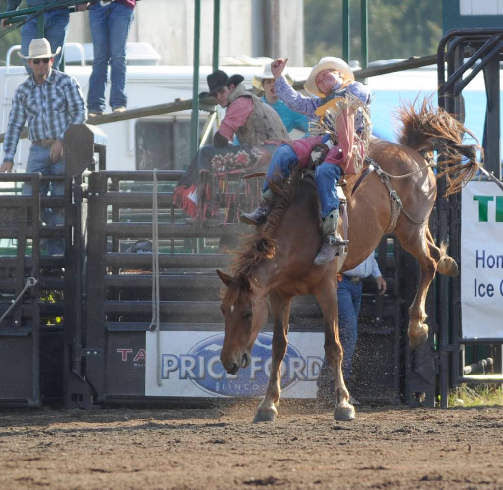 Clallam County Fair sees positive weekend with attendance up in 99th year, organizers say