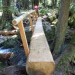 Volunteers with several groups recently installed a foot log near Gold Creek for hikers to better traverse the area. The U.S. Forest Service plans to consider options that change access points at several spots in the Olympic National Forest, including moving and expanding Gold Creeks trailhead. Submitted photo