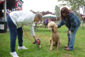 Dog party party set for Saturday