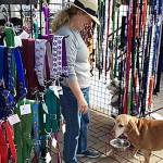 What’s New at the Market: A dog-friendly venue