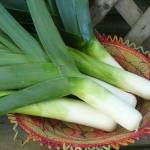 Farm To Table: Ease into fall with leek, potato soup
