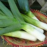 Farm To Table: Ease into fall with leek, potato soup
