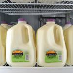Each product from Dungeness Valley Creamery features a label about possible risks for young children, the elderly, pregnant women and individuals with lower immune systems because the milk is not pasteurized. Sequim Gazette photo by Matthew Nash