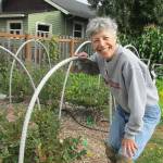 Learn about protection against vertebrate pests