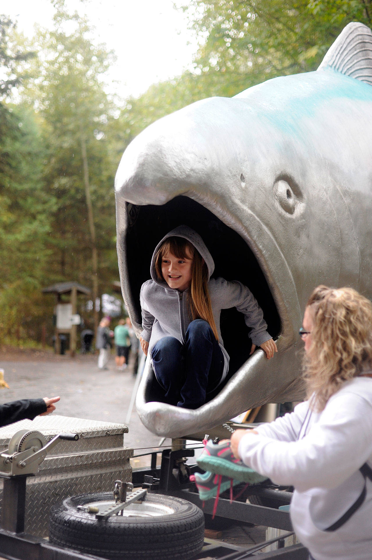 Rylee Evans of Maribeth Stewarts fourth grade class at Greywolf Elementary climbs out of FIN, a giant salmon from the North Olympic Salmon Coalition, at last years Dungeness River Festival. Sequim Gazette file photo by Michael Dashiell