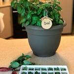 Get It Growing: Thoughts on storing winter vegetables