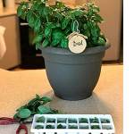 Get It Growing: Thoughts on storing winter vegetables