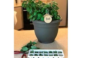 Get It Growing: Thoughts on storing winter vegetables