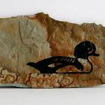 Goldeneye on Slate by Randy Radock