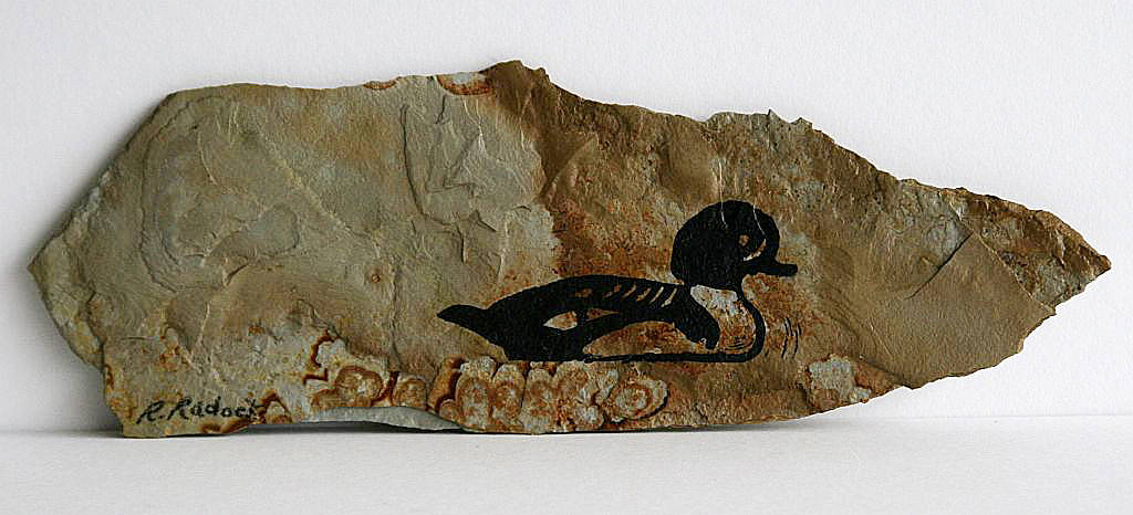 Goldeneye on Slate by Randy Radock