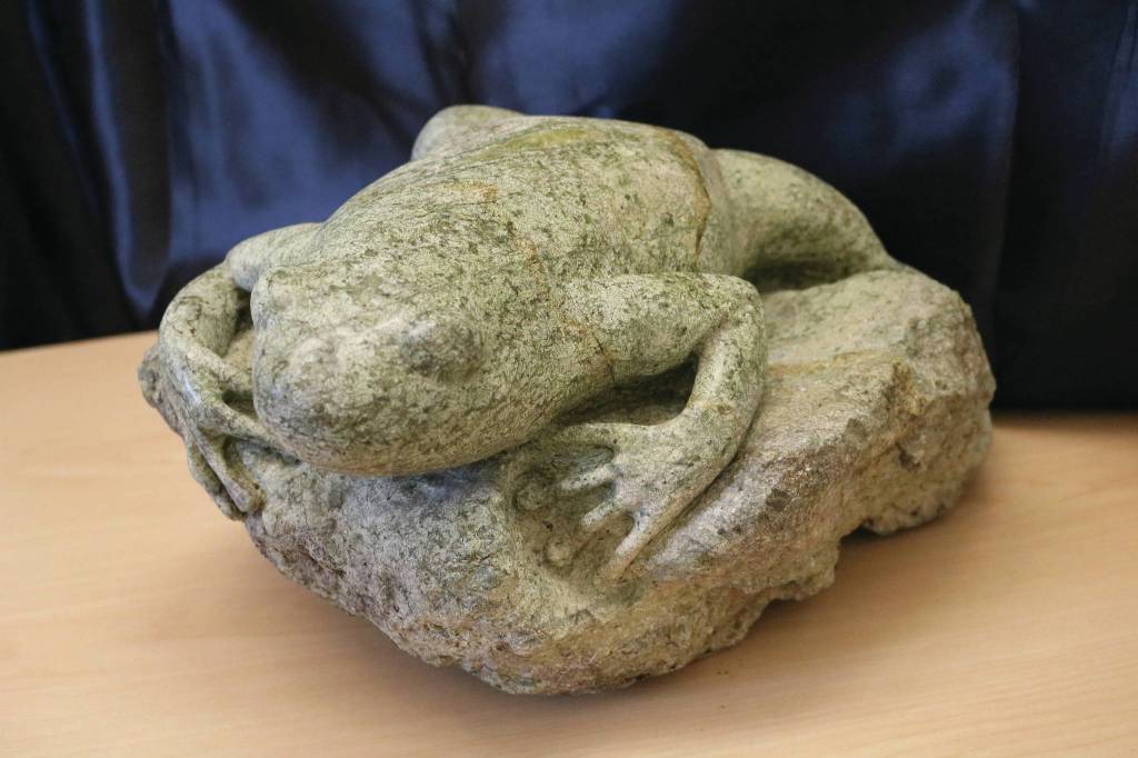 Toad by Barbara Neswald