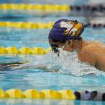 Girls swimming: Sequim swims past PT for second win