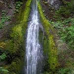 Worldwide ‘Photowalk’ comes to Olympic Peninsula