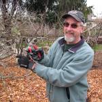 Learn about pruning for the dormant season