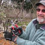 Learn about pruning for the dormant season