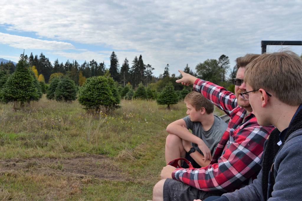 Myles Conroy, 14, his dad Steve, and brother Charlie, 17, take a hayride around Lazy J Tree Farm during the Clallam County Farm Tour on Sept. 29. Myles mom Lori Conroy, not pictured, said they tend to go on the tour each year but this was their first time at the farm. Sequim Gazette photo by Matthew Nash