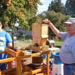 Applestock: A heartfelt harvest