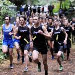 Sequim runners Liam Byrne, Murray Bingham and Jazen Bartee (second, third and fourth from left) lead the Wolves to a league victory over Olympic and Port Townsend on Oct. 4 at Robin Hill County Park in Sequim, with Bingham (17:26) taking first place overall, Byrne second and Bartee third. Sequim Gazette photo by Michael Dashiell