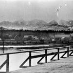 Remnants from the old Dungeness wharf, in use from 1890-1941, were removed last week. Photo courtesy of Tom Cook
