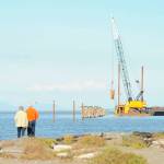 Nearby residents of Three Crabs Road and passersby watch as pilings are removed from the old Dungeness wharf. Sequim Gazette photo by Erin Hawkins