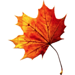 What’s New at the Market: Two Saturday markets left in the season