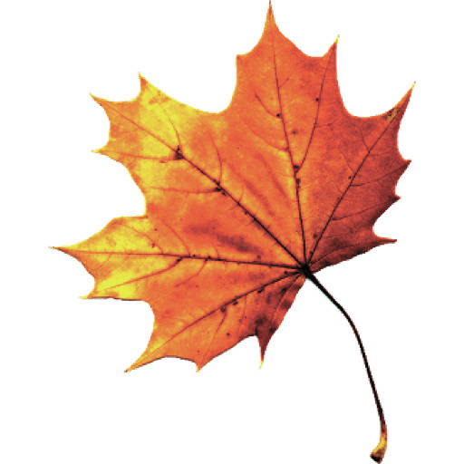 What’s New at the Market: Two Saturday markets left in the season