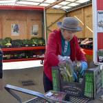 Food Bank reports gas, food and equipment repeatedly stolen