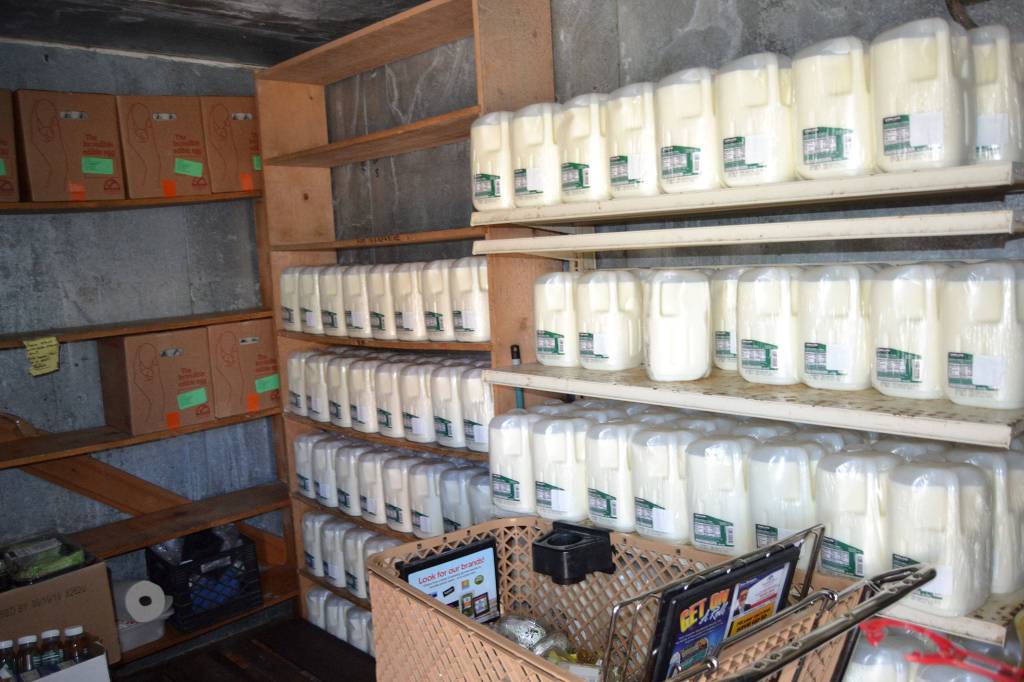A thief or thieves has broken into the milk cooler at the Sequim Food Bank a few times in recent weeks, volunteers of the facility say. Sequim Gazette photo by Matthew Nash