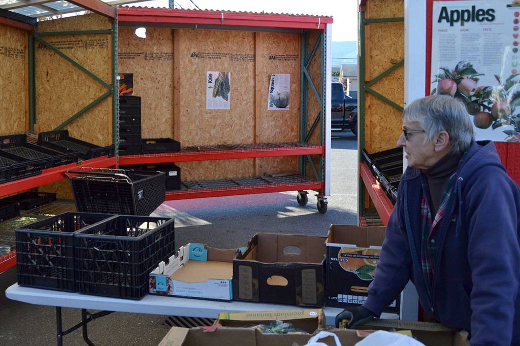 Isabelle Dunlop, a produce volunteer at the Sequim Food Bank, said vandals have taken bites out of donated produce and spit it back in boxes and torn trim down from the produce barn at least twice in recent weeks. Gas and other needed equipment was also stolen. Sequim Gazette photo by Matthew Nash