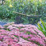 Final walk of season set at demonstration garden