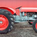 Farm To Table: Decorated pumpkin contest, Kids Day at the last market of season