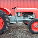 Farm To Table: Decorated pumpkin contest, Kids Day at the last market of season