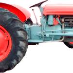 Farm To Table: Decorated pumpkin contest, Kids Day at the last market of season