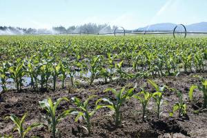 Community raises $180K to preserve 132-acre farm
