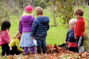 Fall Family Scavenger Hunt set for Saturday