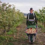 Get into the spirits with Olympic Peninsula Harvest Wine & Cider Tour