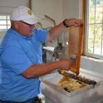 Removing caps by hand takes a lot of time, says Buddy DePew, co-owner of Sequim Bee Farm. If he and his wife Meg win $20,000 from Kitsap Bank, theyll use funds to automate the process. Sequim Gazette photo by Matthew Nash
