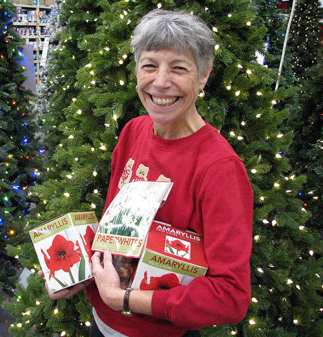 Get help picking your holiday plants